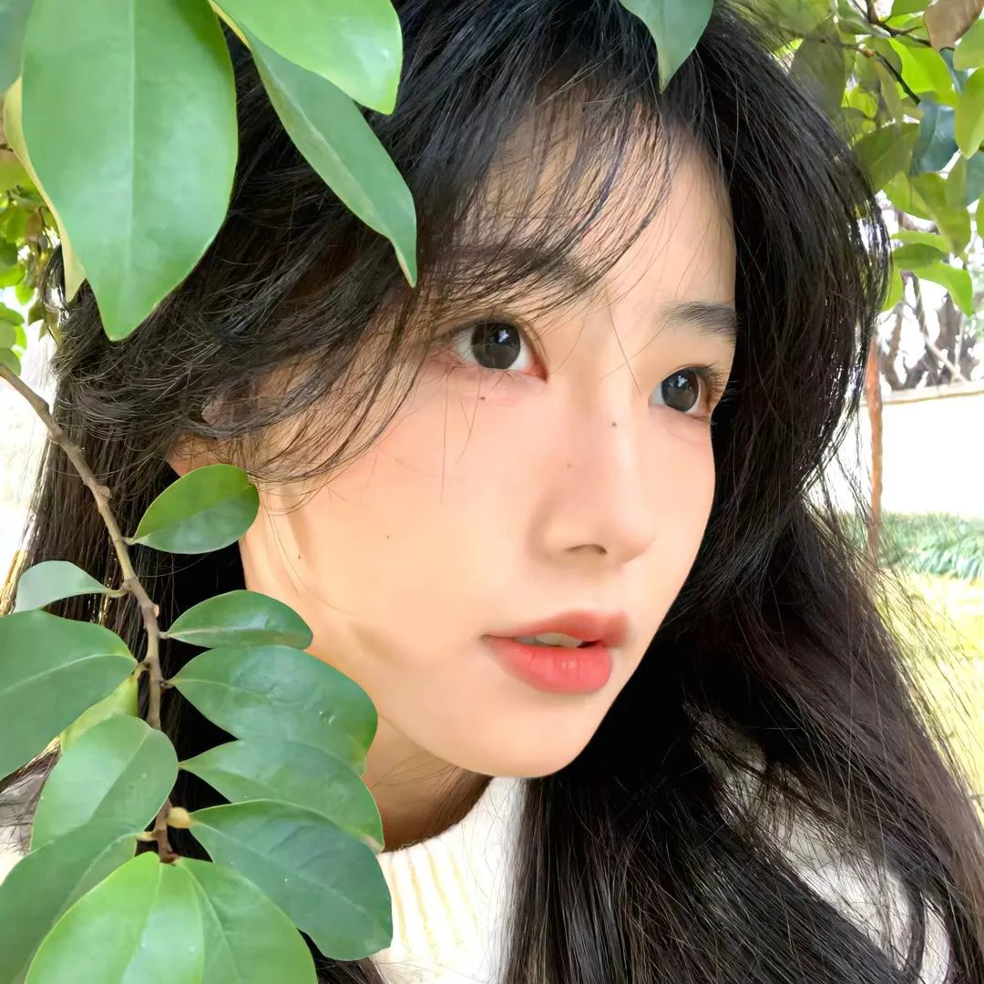 玩命爱个姑娘