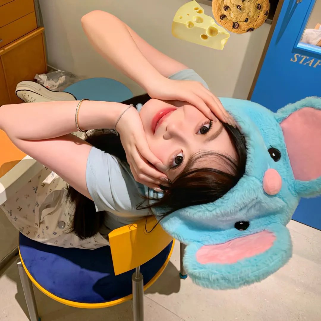 猴子